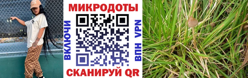 Галлюциногенные грибы Psilocybe  Купить закладки  Старый Оскол 